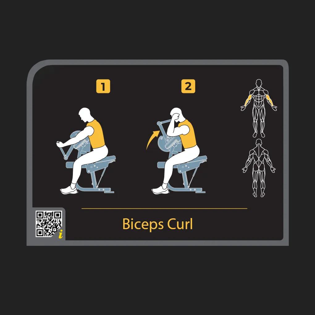 Instructional diagram on the Keystone Biceps Curl machine showing start and end positions for the exercise, with highlighted muscle groups and a QR code for more information.