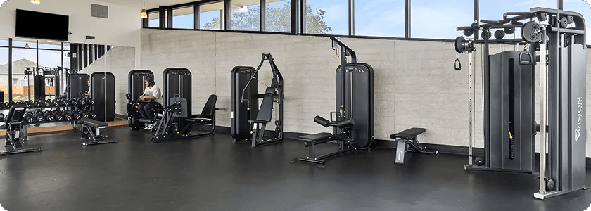 A wall full of strength equipment with windows above the top