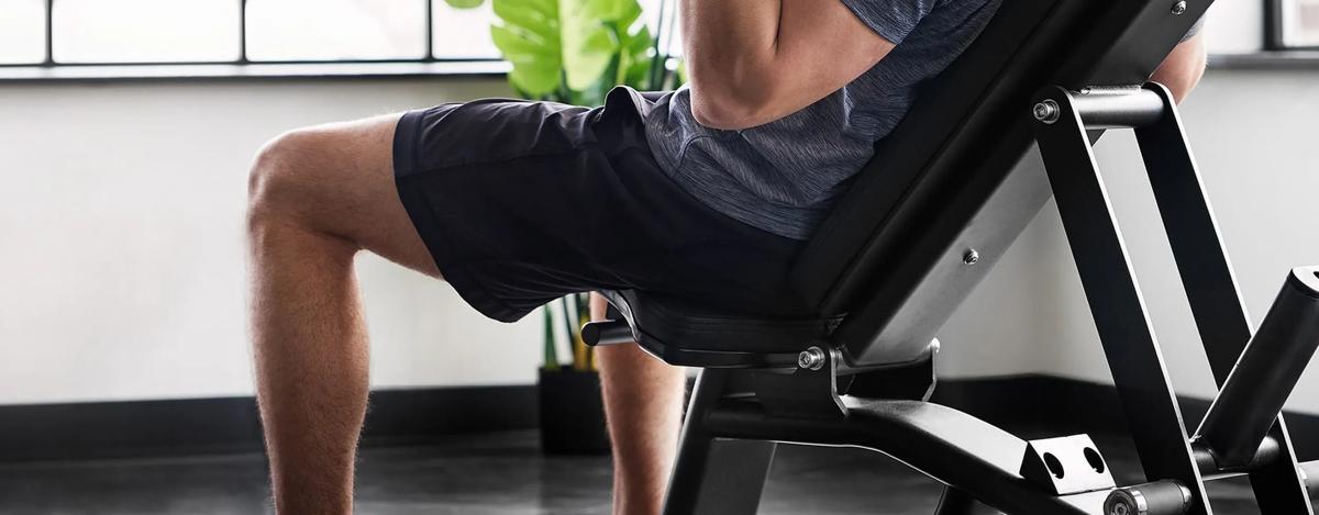 新型アジャストベンチ Amazon | ブル（Bull）NEWアジャスタブルベンチ（白） トレーニング