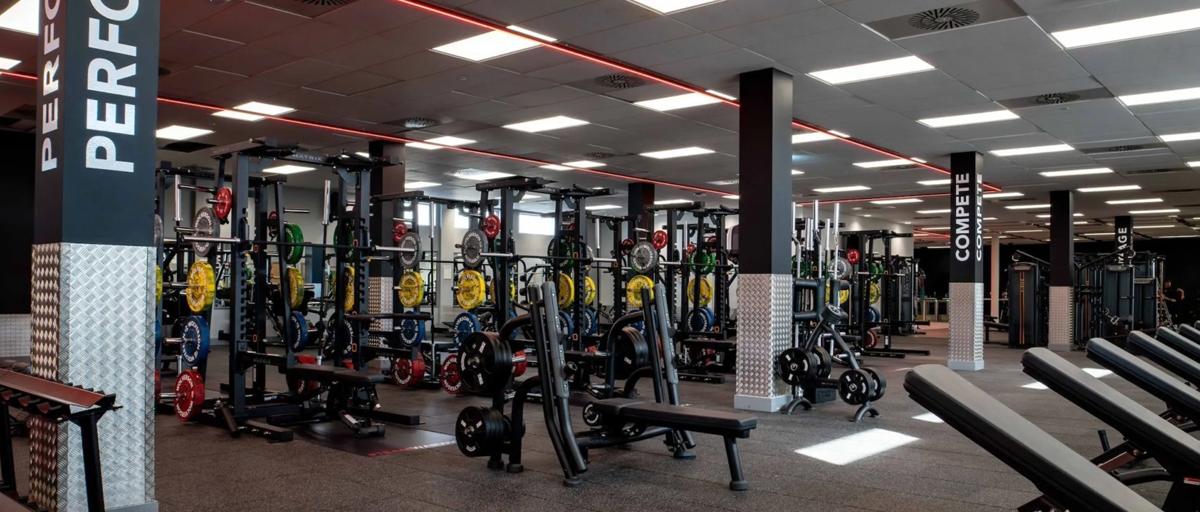 Gym Equipment in a Gym: Ultimate Guide to Boost Your Workout