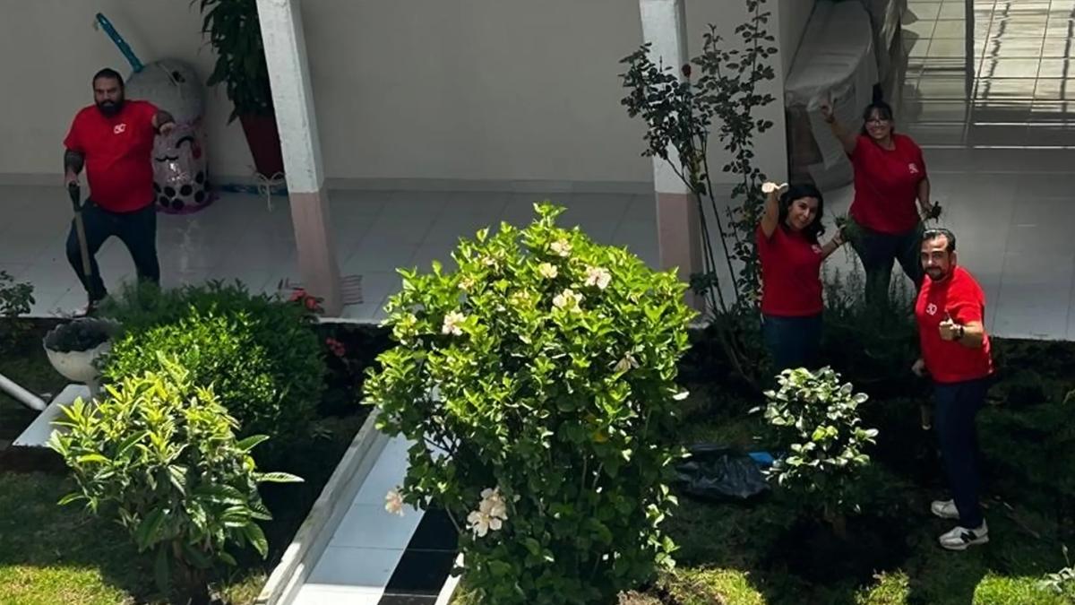 Four people standing in a garden holding gardening tools.